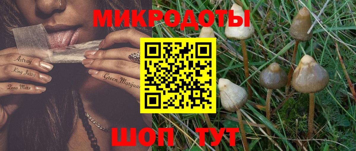 Галлюциногенные грибы MAGIC MUSHROOMS Торжок