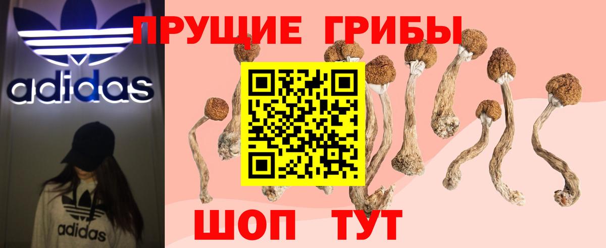 Галлюциногенные грибы Magic Shrooms  Вход с VPN  Торжок 